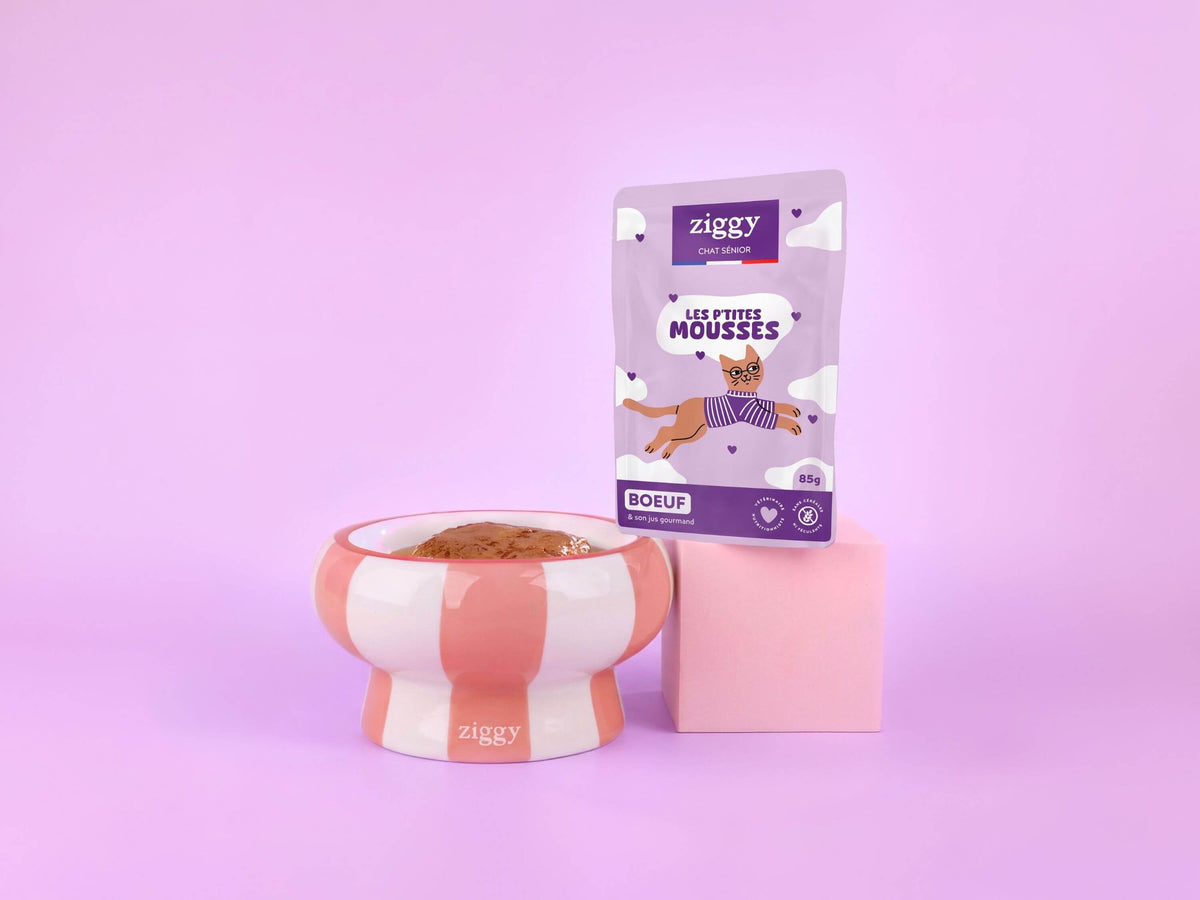Mousse chat senior sans céréales au bœuf Ziggy : sachet de 85 g et gamelle de mousse sur fond violet