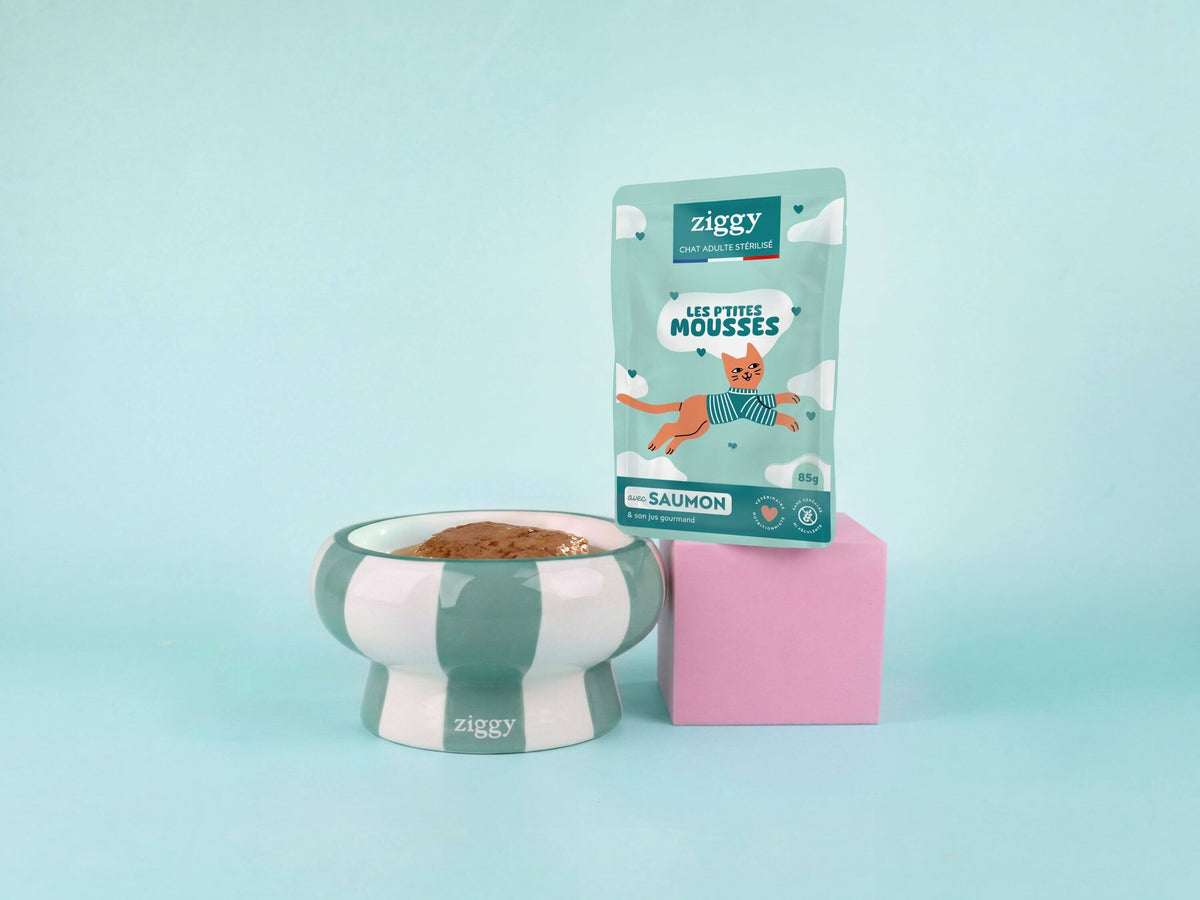 Sachet de mousse Ziggy chat stérilisé au saumon, gamelle de mousse et cube rose sur fond bleu pastel