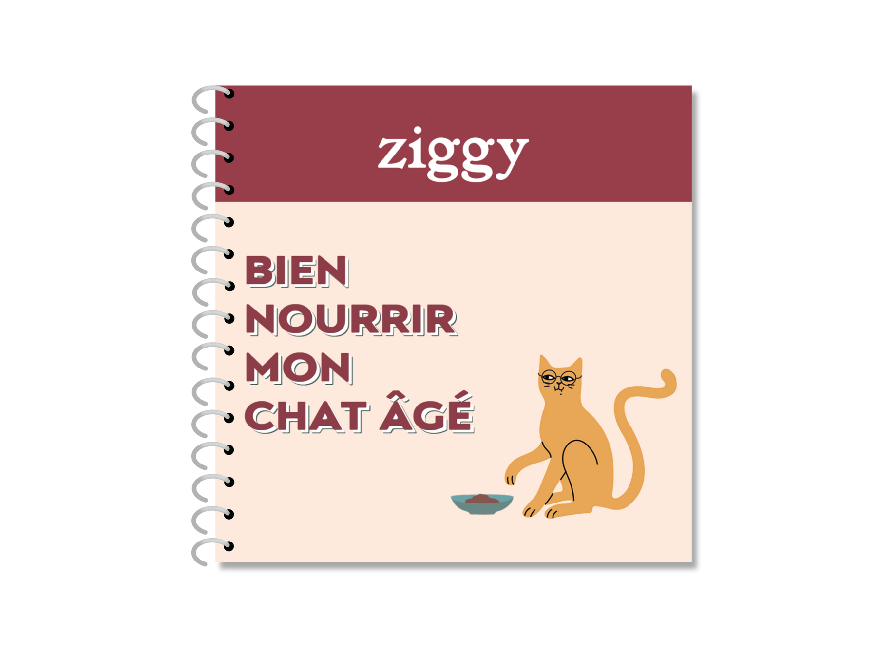 couverture du guide sur l'alimentation chez le chat senior
