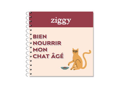 Senioren-Katzen richtig füttern