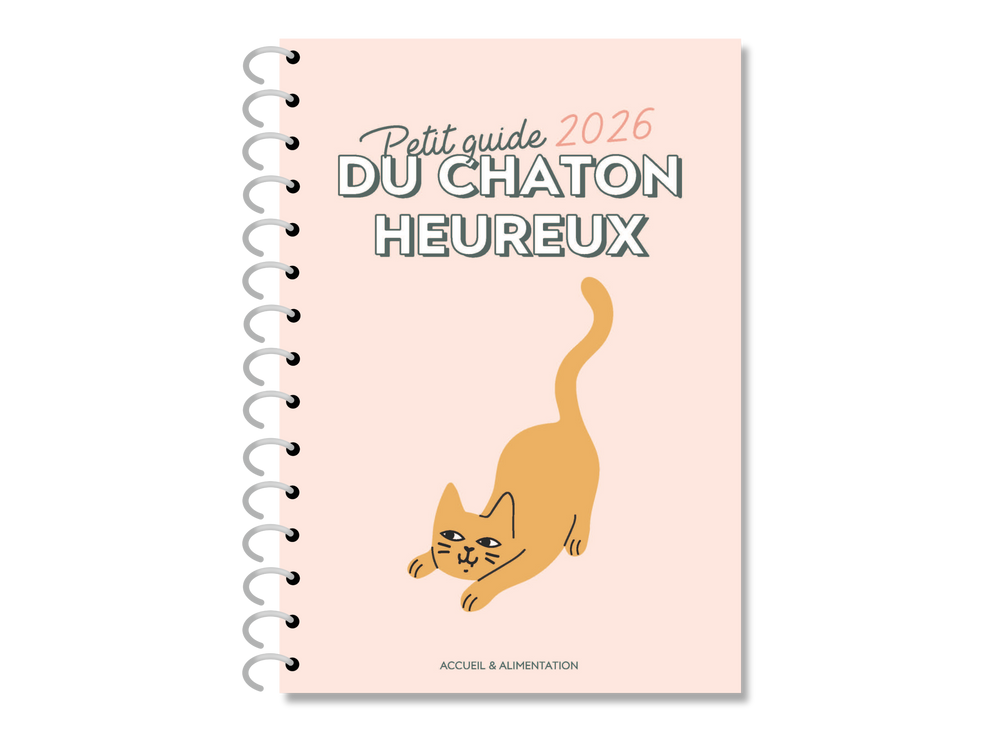 Couverture du guide pour accueillir son chaton Ziggy