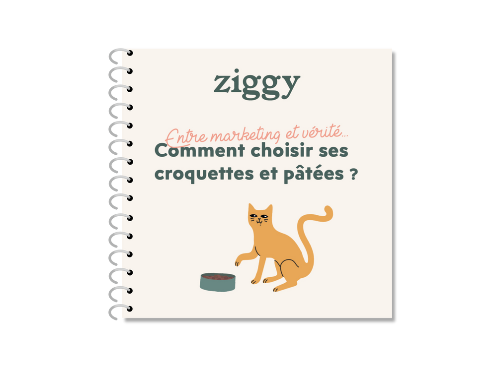 couverture guide avec explications pour bien choisir ses croquettes et pâtées