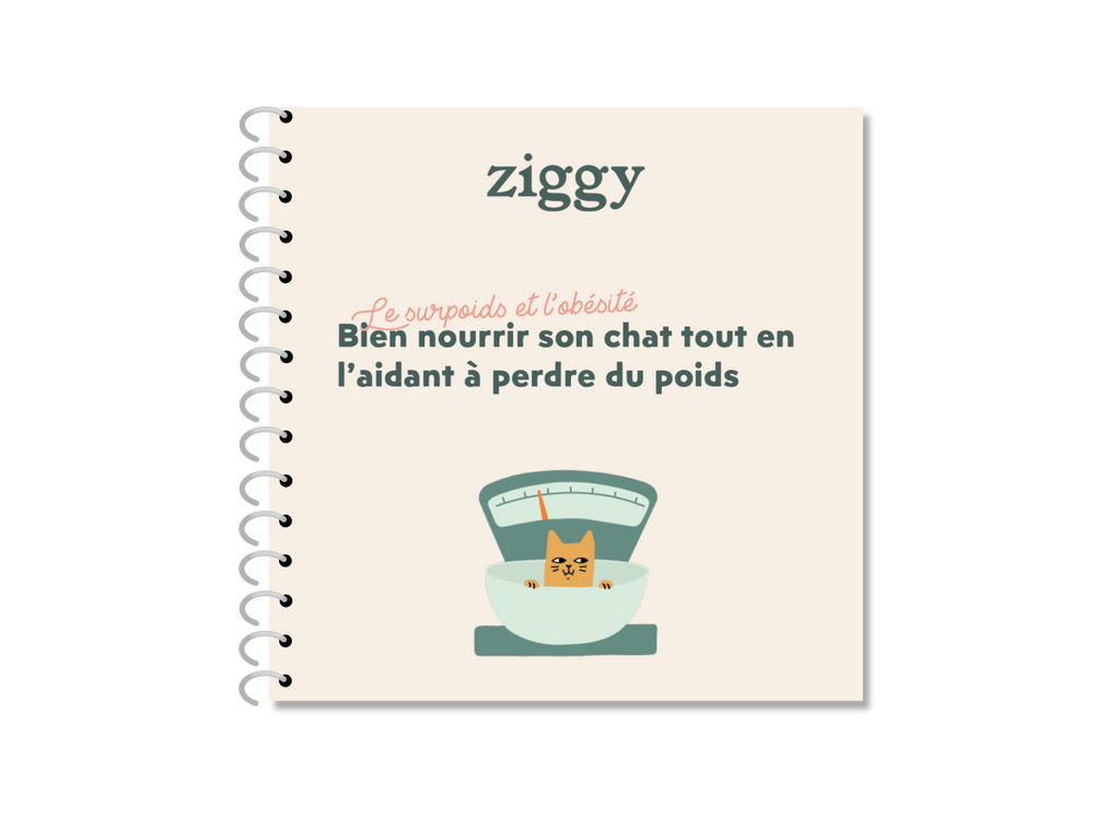 couverture guide sur l'obésité et le surpoids chez le chat