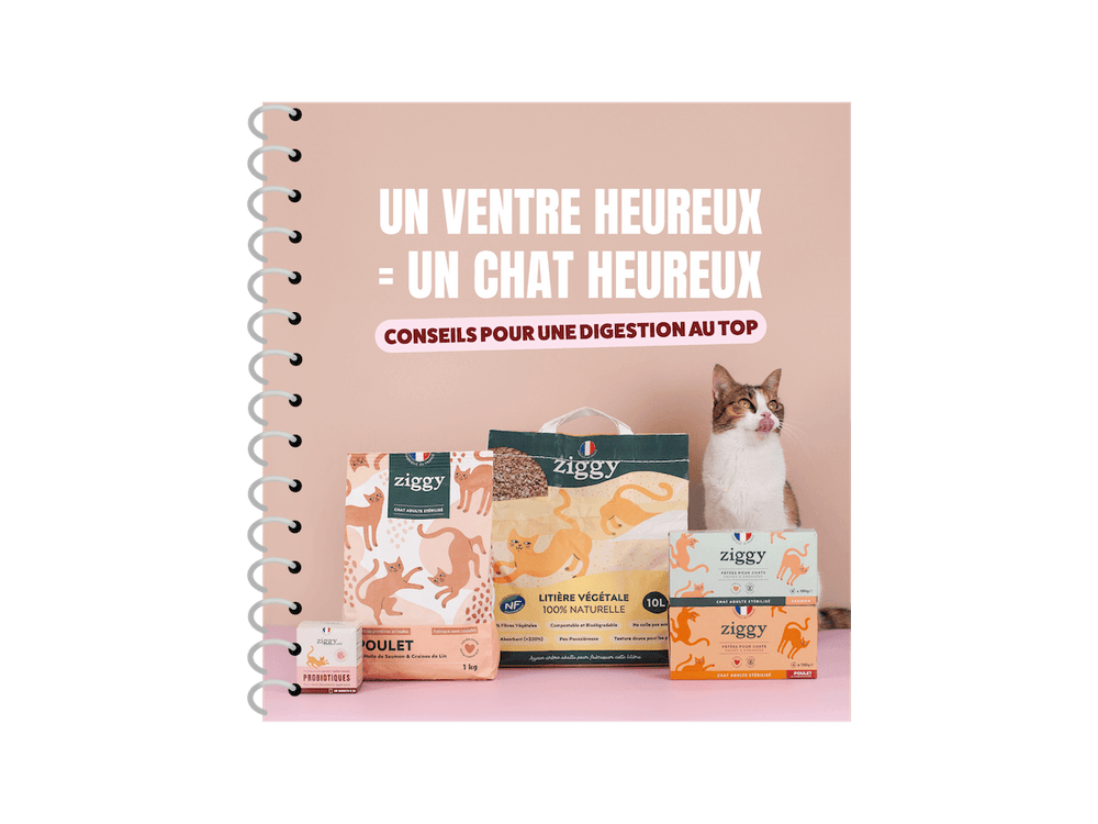 Couverture ebook digestion du chat