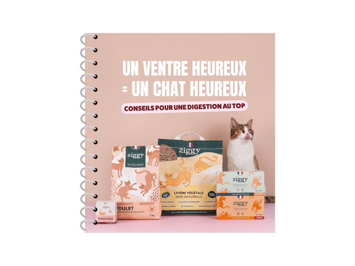 Couverture ebook digestion du chat