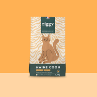 Ziggy cereal-free chicken kibbles for Maine Coon cats, 2.5Kg bag, made from natural ingredients
