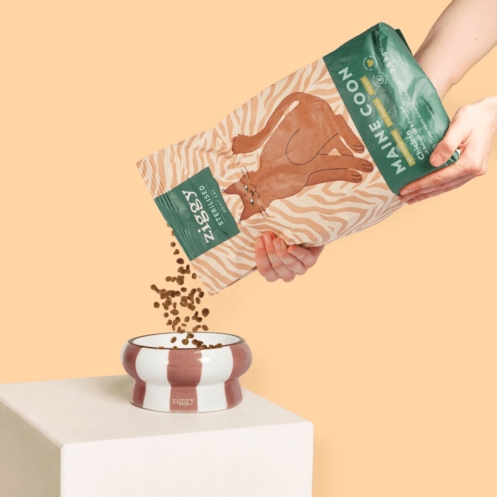 Sachet de 2,5kg de croquettes Ziggy pour chat adulte Maine Coon au poulet, saines et sans céréales