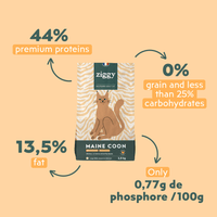 Close-up of Ziggy cereal-free chicken kibbles packaging for Maine Coon cats