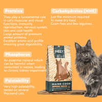 Ziggy cereal-free chicken kibbles for Maine Coon cats, 2.5Kg bag, made from natural ingredients