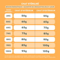 Quantité par jour à donner à son chat Maine Coon de croquettes Ziggy, saines et sans céréales, en fonction de son besoin énergétique