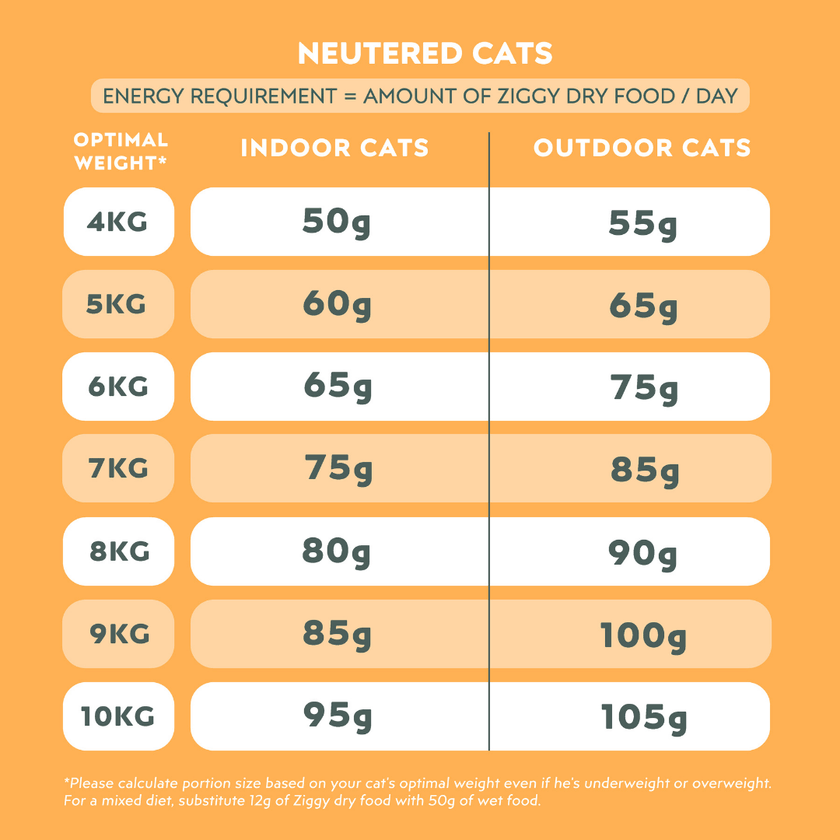 Nutritional composition of Ziggy cereal-free chicken kibbles for Maine Coon cats