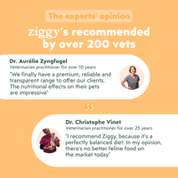 Nutritional information for Ziggy cereal-free chicken kibbles formulated for Maine Coon cats