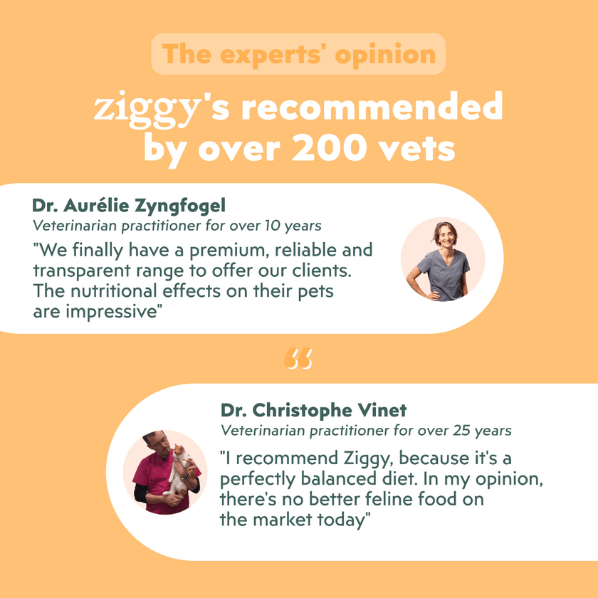 Nutritional information for Ziggy cereal-free chicken kibbles formulated for Maine Coon cats