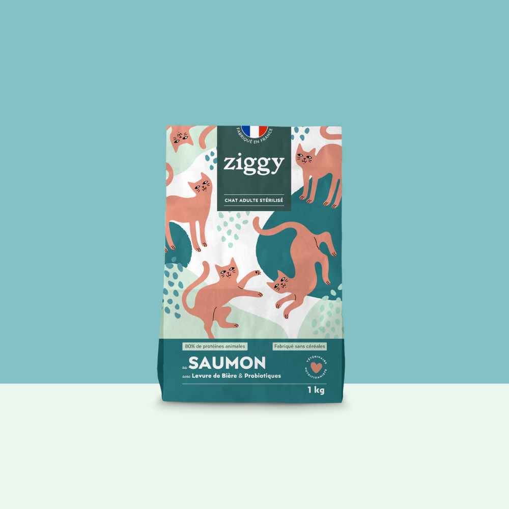 Paquet de 1kg de croquettes Ziggy pour chat adulte stérilisé au saumon, saines et sans céréales