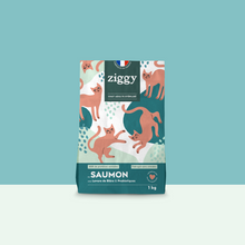 Paquet de 1kg de croquettes Ziggy pour chat adulte stérilisé au saumon, saines et sans céréales