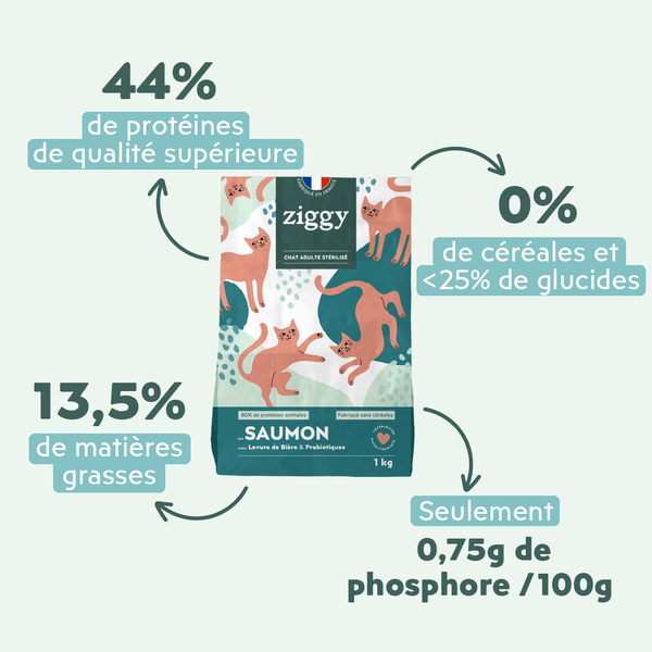 Ingrédients des croquettes pour chat adulte stérilisé au saumon, saines, à base d'ingrédients naturelles et sans céréales