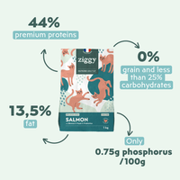 Ziggy Sterilized Salmon Dry Cat Food – ingredients and nutritional composition, grain-free