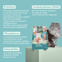 Feeding guide for Ziggy Sterilized Salmon Dry Cat Food – grain-free kibble portions