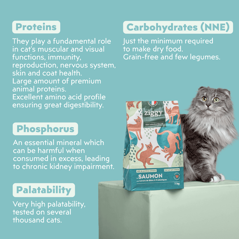 Feeding guide for Ziggy Sterilized Salmon Dry Cat Food – grain-free kibble portions