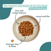 Ziggy Sterilized Salmon Dry Cat Food served in a bowl – grain-free kibble