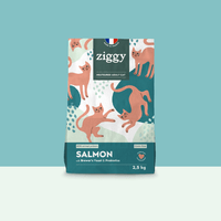Ziggy Sterilized Salmon Dry Cat Food, 2.5Kg bag – grain-free kibble