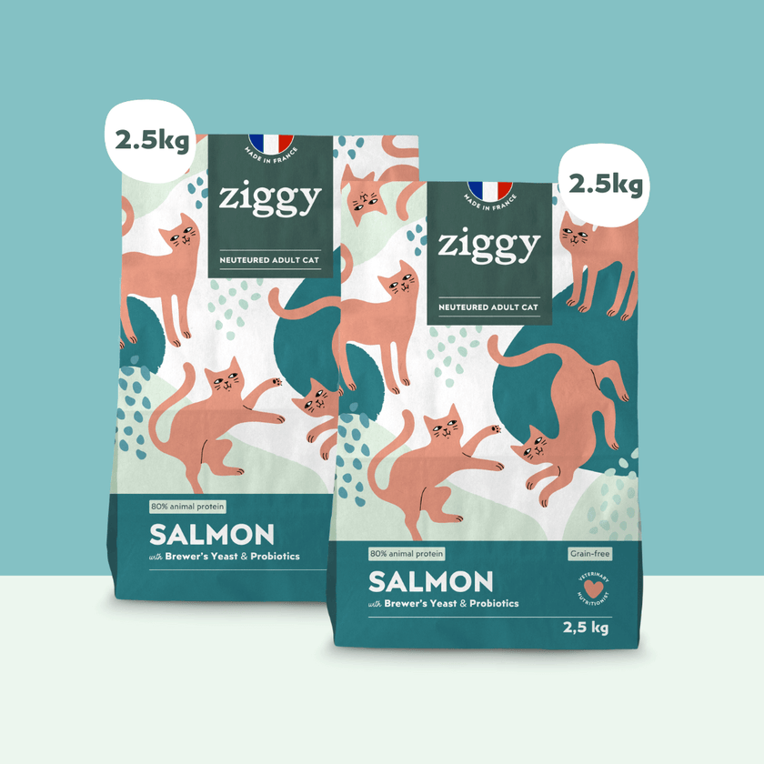 Ziggy Sterilized Salmon Dry Cat Food bag – grain-free kibble