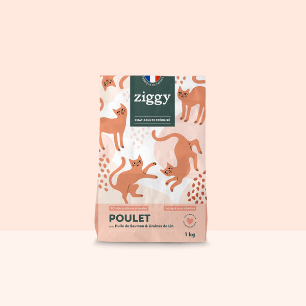Sac de 2,5 kg de croquettes pour chat adulte stérilisé Ziggy au poulet