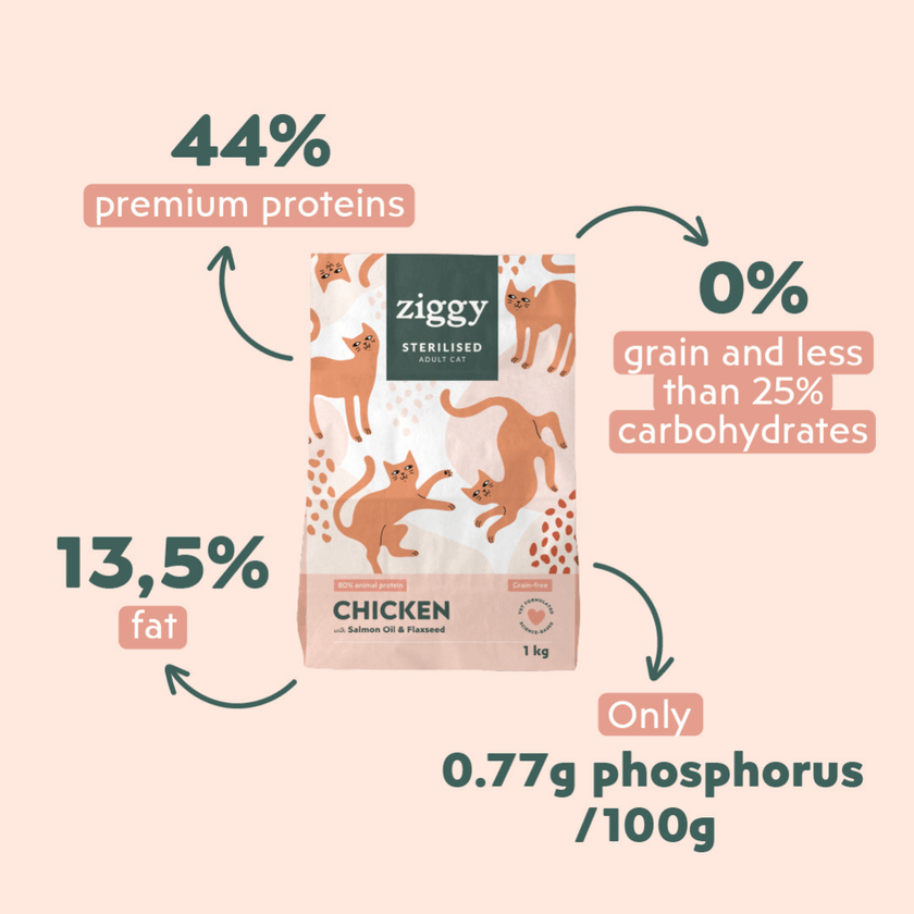 Close-up of a cat enjoying Ziggy cereal-free chicken kibbles for adult sterilized cats