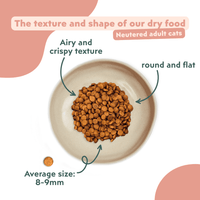 Ziggy Sterilized Chicken Dry Cat Food served in a bowl – grain-free kibble