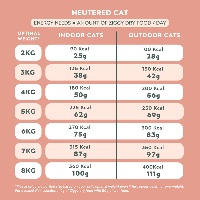 Nutritional information for Ziggy Sterilized Chicken Dry Cat Food – grain-free kibble