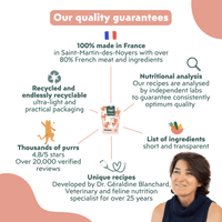 Key benefits of Ziggy Sterilized Chicken Dry Cat Food – grain-free kibble infographic