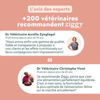 Avis vétérinaire des croquettes pour chat adulte stérilisé au poulet, saines, à base d'ingrédients naturelles et sans céréales