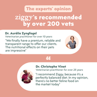 Veterinarian-approved Ziggy Sterilized Chicken Dry Cat Food – grain-free kibble
