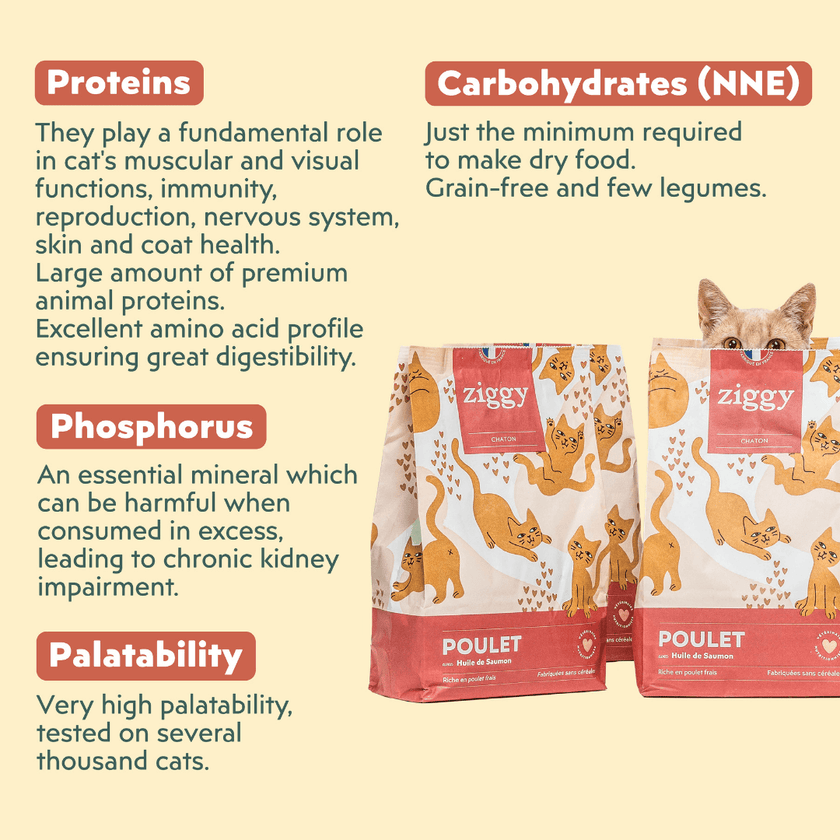 Composition of Ziggy cereal-free chicken kibbles for kittens, made from natural ingredients