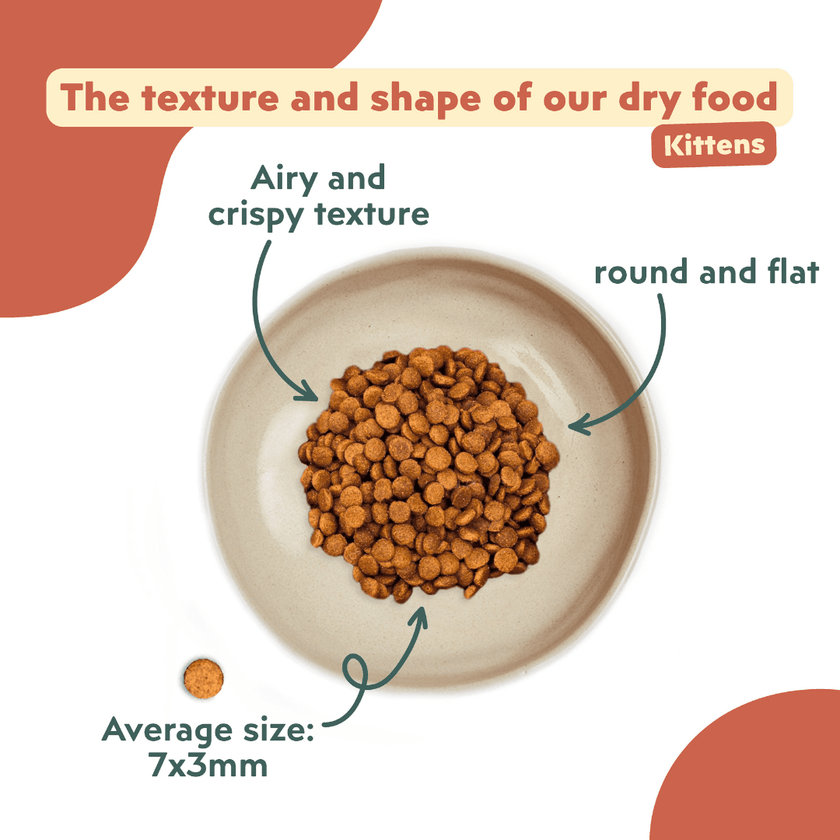 Ziggy cereal-free chicken kibbles served in a bowl for kittens