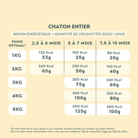 Quantité par jour à donner à son chaton de croquettes Ziggy, saines et sans céréales, en fonction de son besoin énergétique
