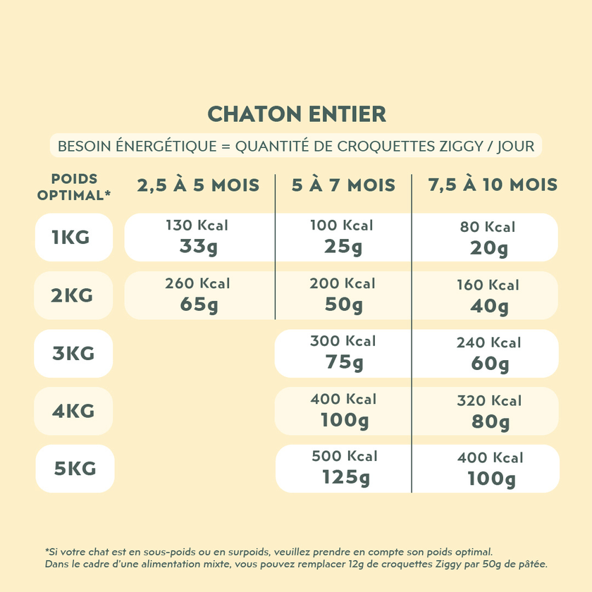 Quantité par jour à donner à son chaton de croquettes Ziggy, saines et sans céréales, en fonction de son besoin énergétique