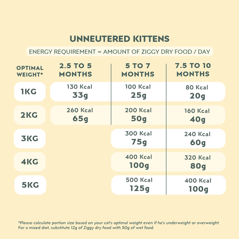 Feeding schedule for Ziggy cereal-free chicken kibbles for kittens