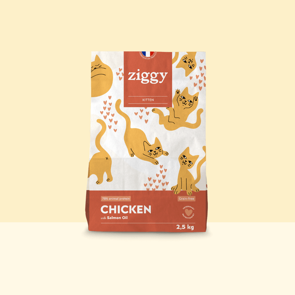 Paquet de croquettes pour chaton au poulet Ziggy