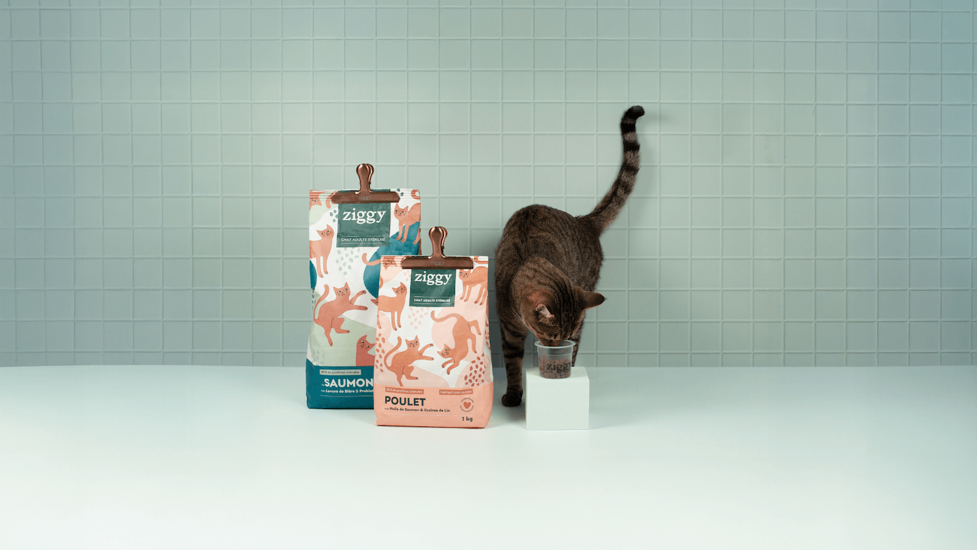 Croquettes pour chat