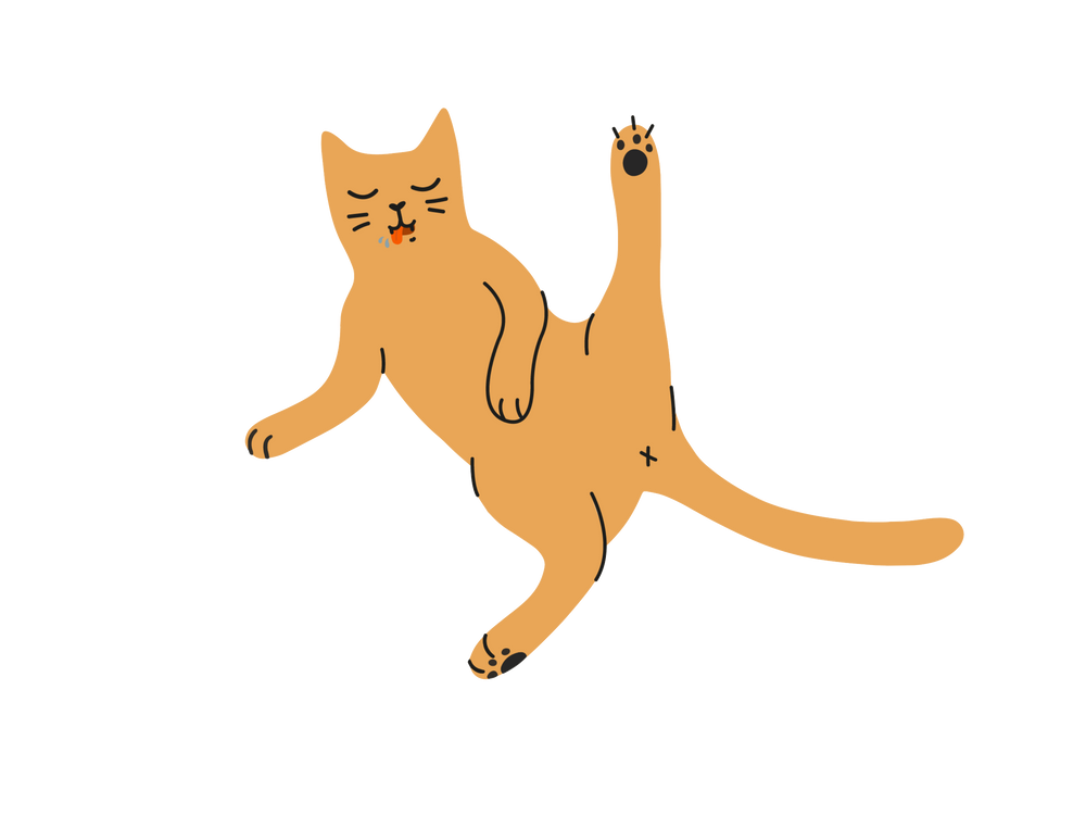 Illustration Ziggy d'un chat qui se lèche