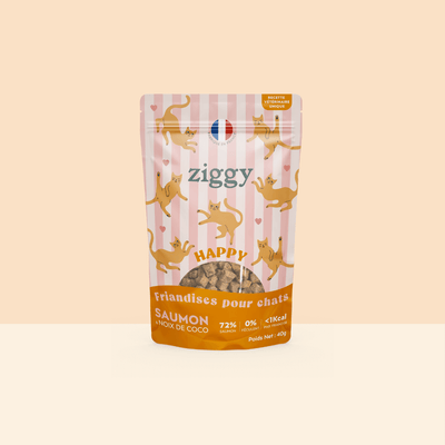 Paquet de friandises pour chat Ziggy au Saumon et à la Coco