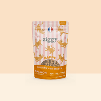 Ziggy Salmon & Coconut Cat Treats – tasty treats for cats (40g)