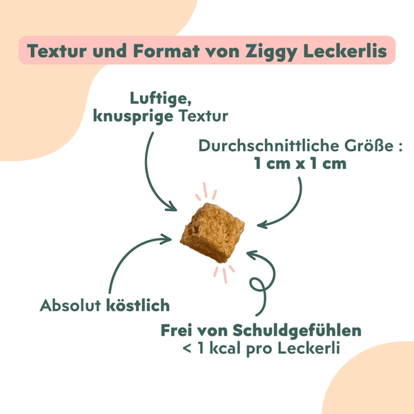 Texture et format des Friandises pour chat Ziggy saines, sans amidon et ultra gourmandes
