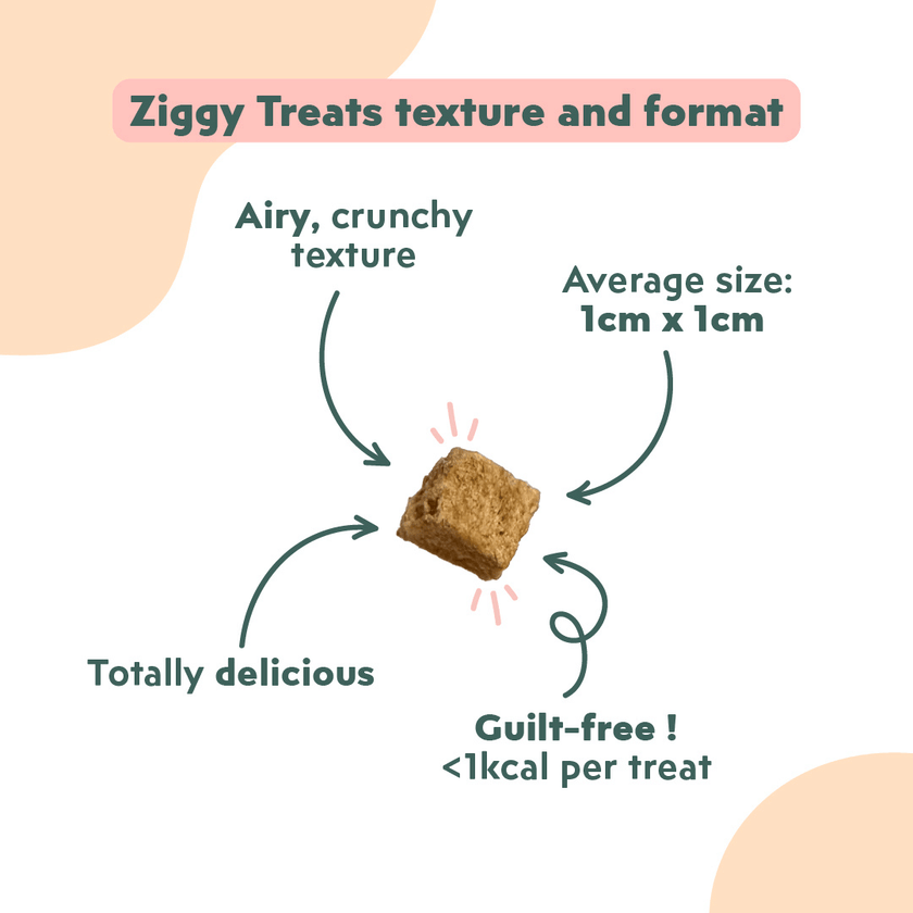 Ziggy Salmon & Coconut Cat Treats – ingredients and nutritional composition