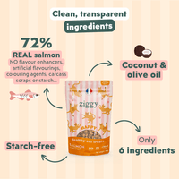 Ziggy Salmon & Coconut Cat Treats – tasty treats for cats, product information graphic