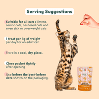 Ziggy Salmon & Coconut Cat Treats bag – tasty treats for cats (40g)