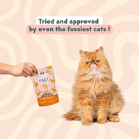 Cat enjoying Ziggy Salmon & Coconut Treats – tasty treats for cats