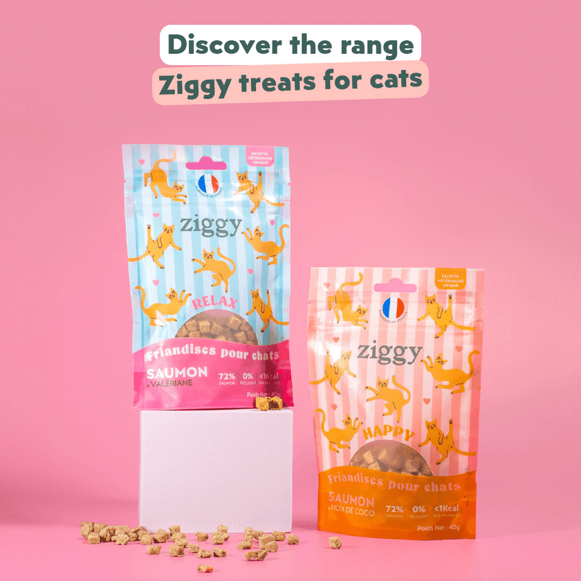 Ziggy Salmon & Coconut Cat Treats – tasty treats for cats, packaging (40g)