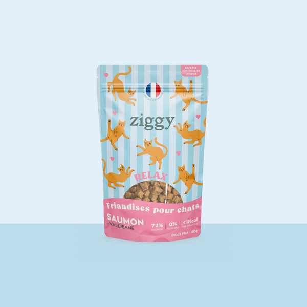Paquet de friandises pour chat Ziggy au Saumon et à la Valériane